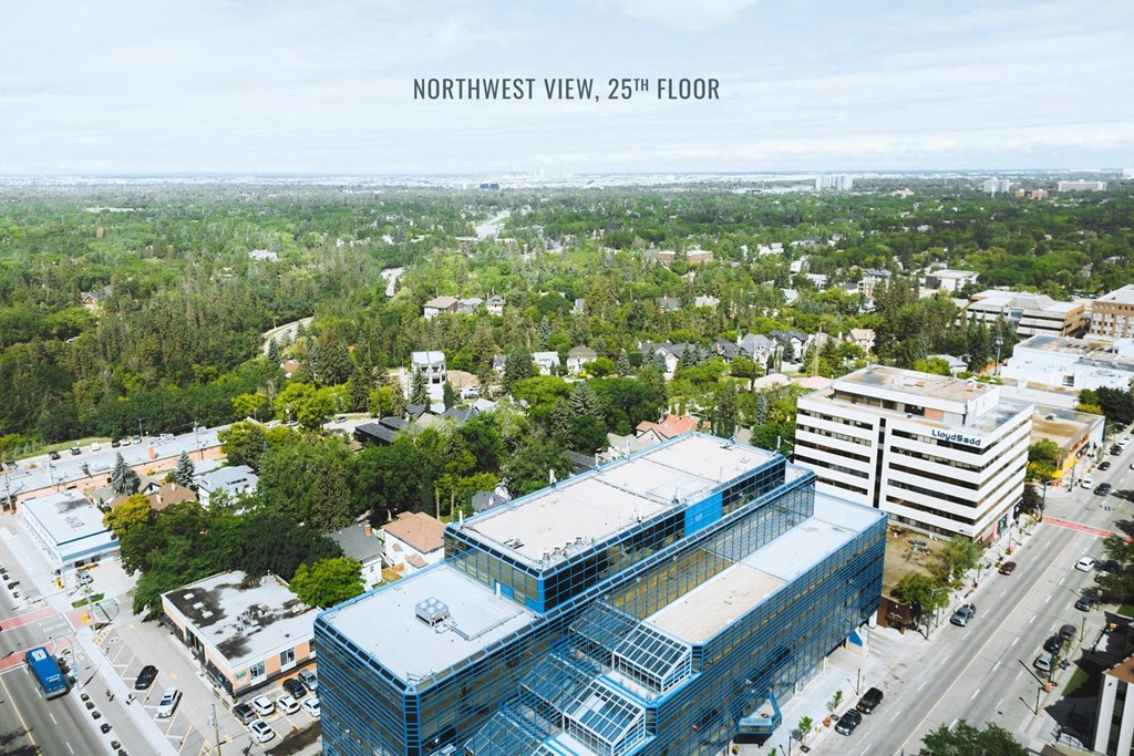 a view of the city from the top of a building