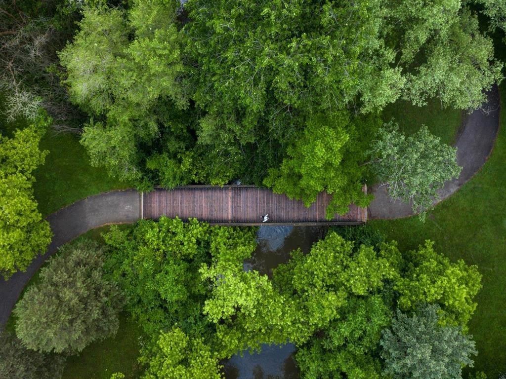 a bridge over a body of water surrounded by trees