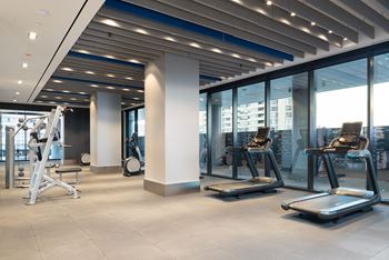 A gym with treadmills, weights, and a bench.