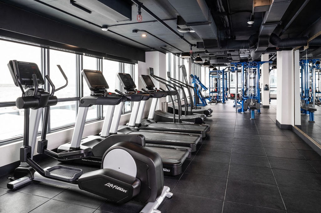 a row of cardio equipment in a gym