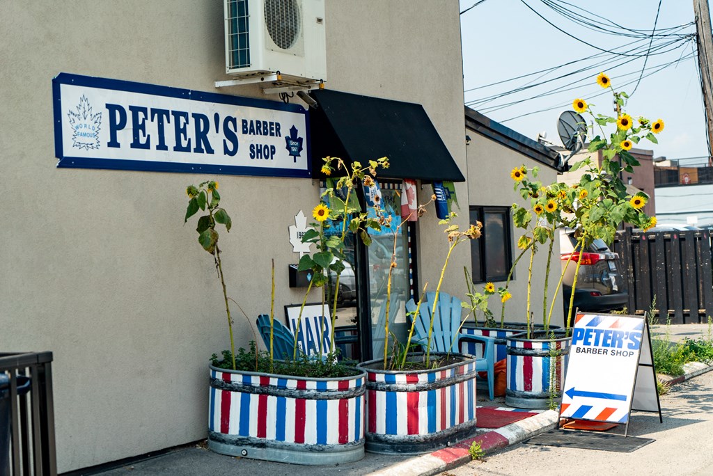 a group of potted plants on the side of a building