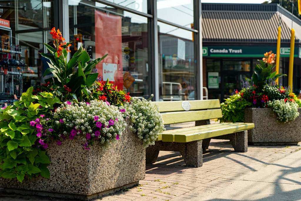 a bench on a sidewalk with flowers in front of a store