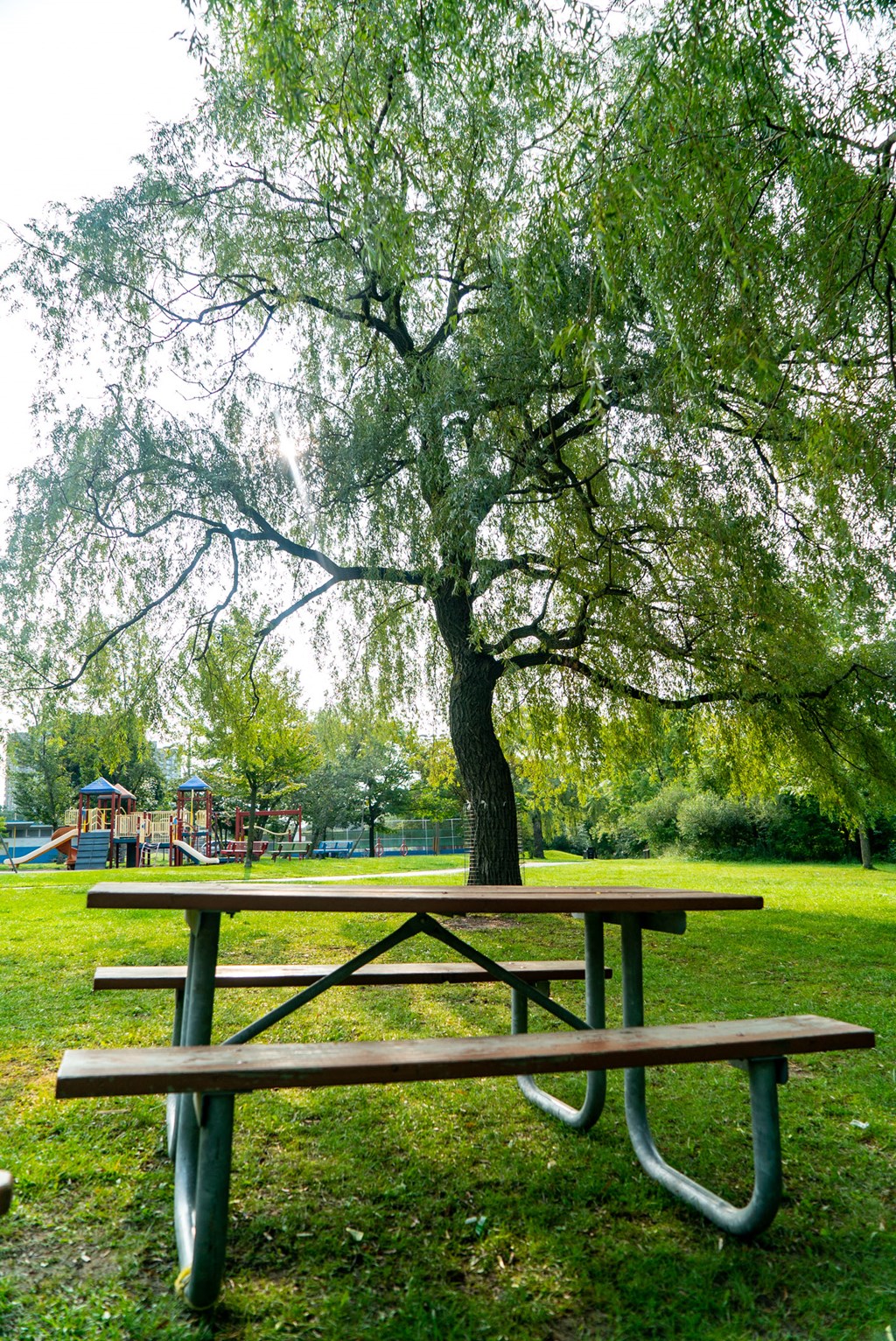 a picnic table sitting under a tree in a park