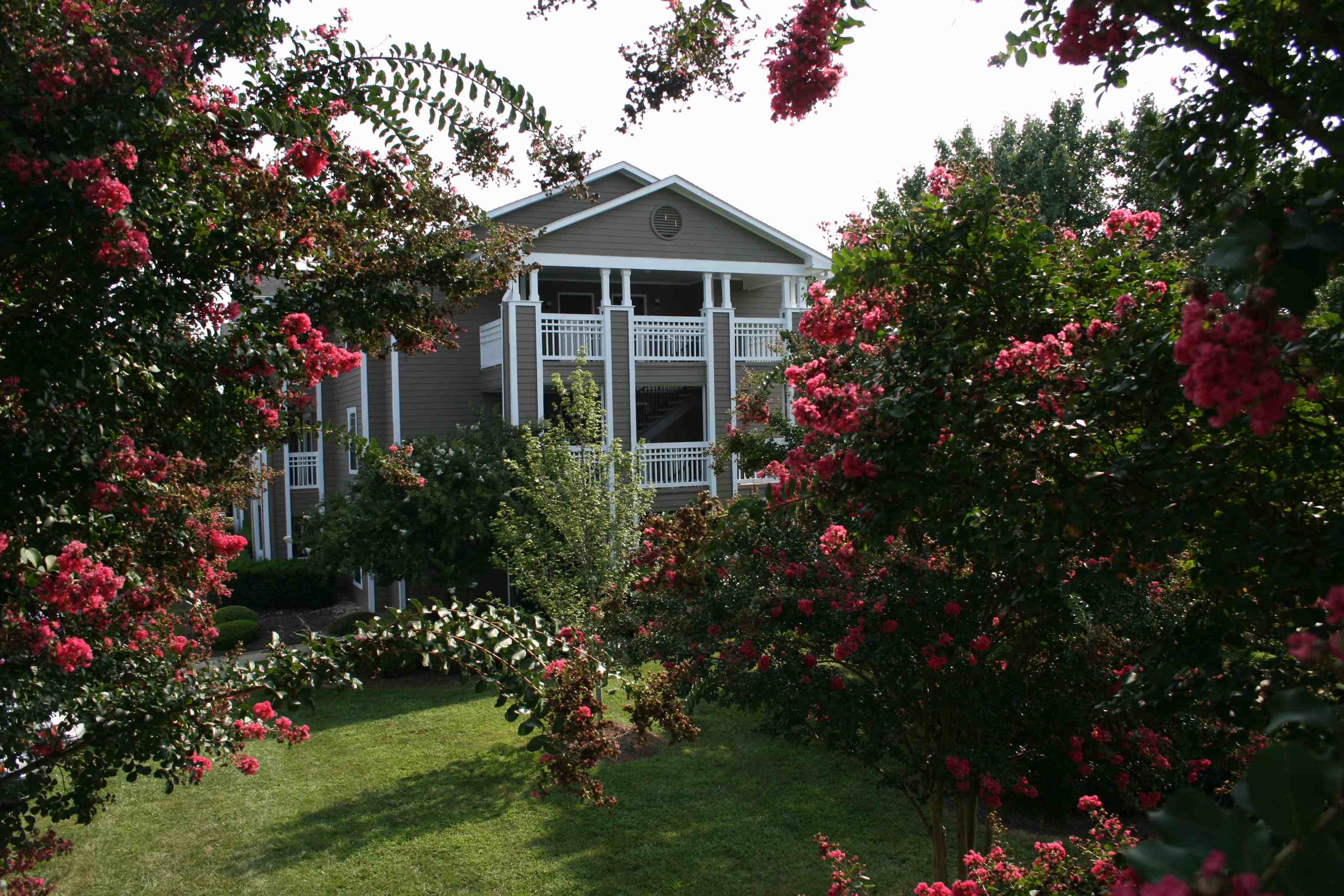 a view of the house from the garden