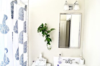 bathroom - Photo Gallery 6