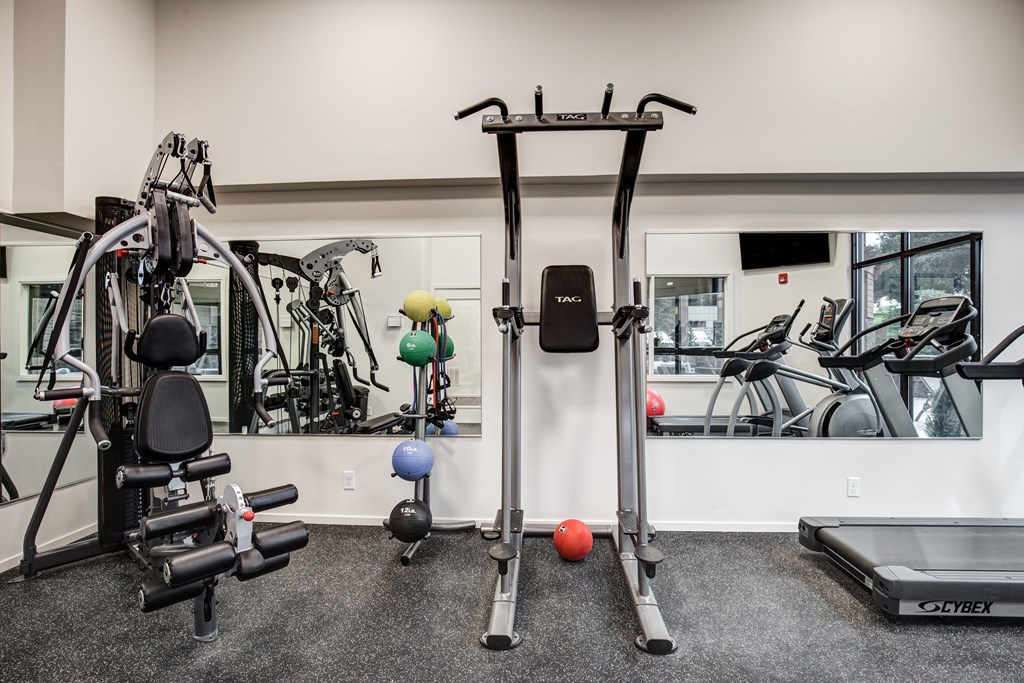 A gym with a variety of equipment including a treadmill, weights, and a TRX suspension trainer.