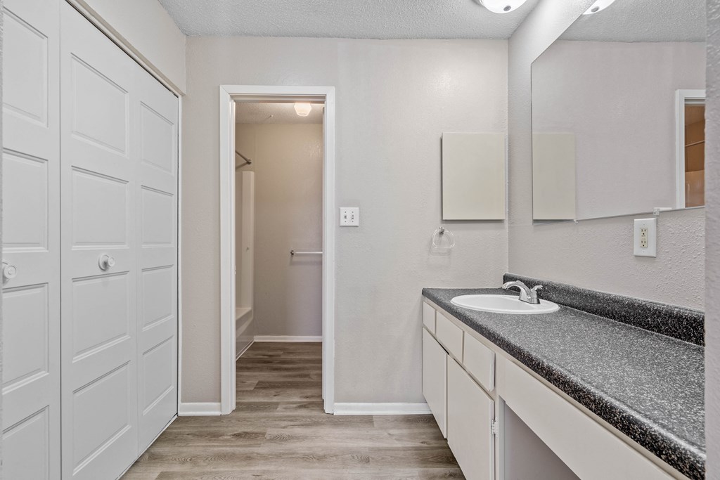 a bathroom with a sink and a mirror