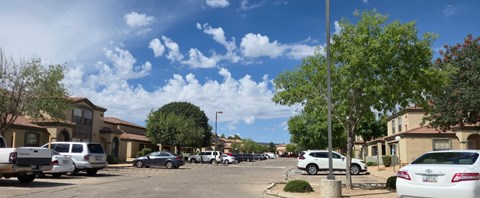 A sunny day in a residential area with cars parked on the street.