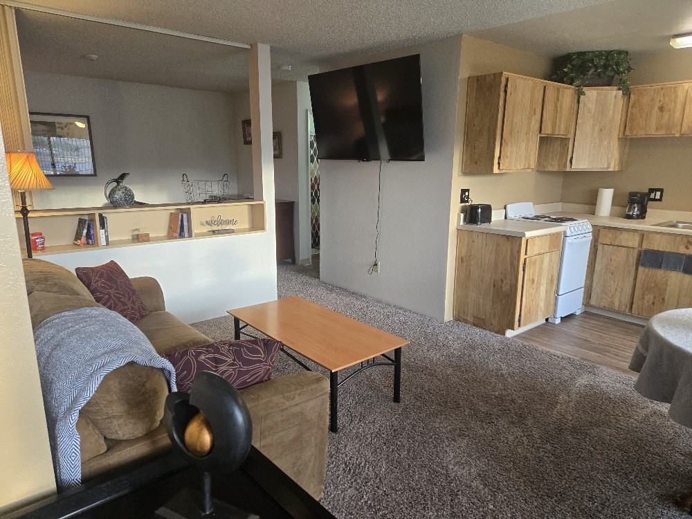 Furnished Studio Apartment