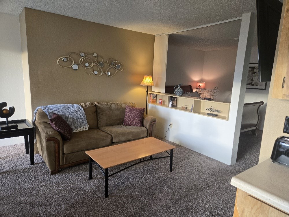 Kitchen View-Living Room