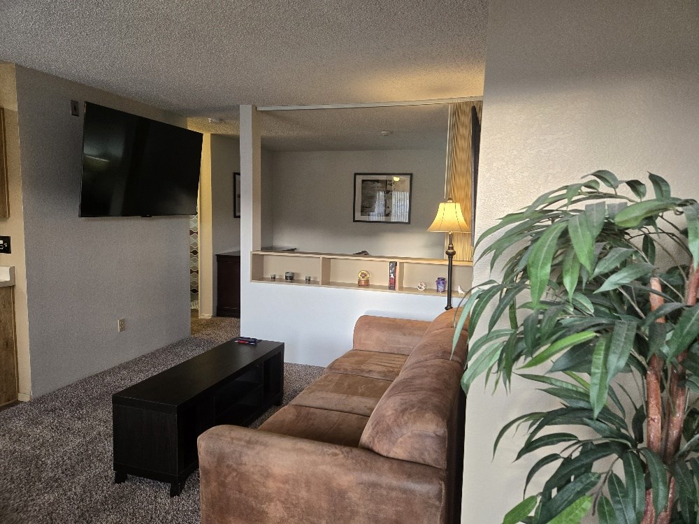 View From Front Door-Living Room