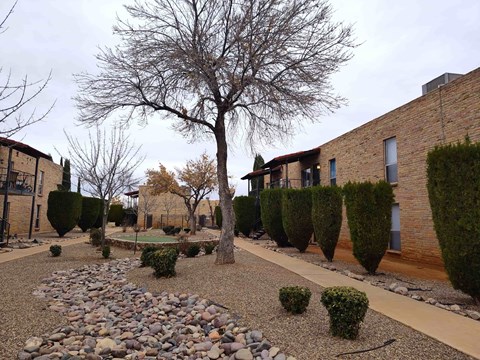 A tree in a courtyard surrounded by bushes and rocks.