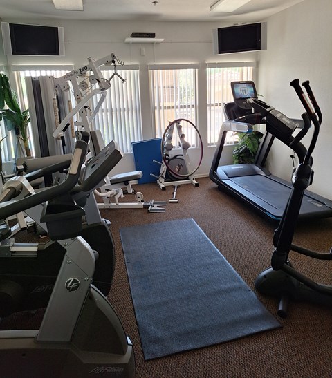 A gym with treadmills, elliptical machines, and other exercise equipment.