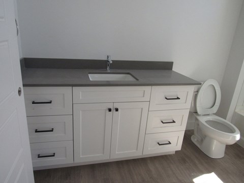 Bathroom Vanity