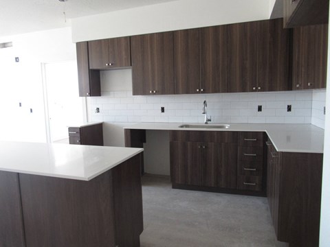 Wood cabinet kitchen