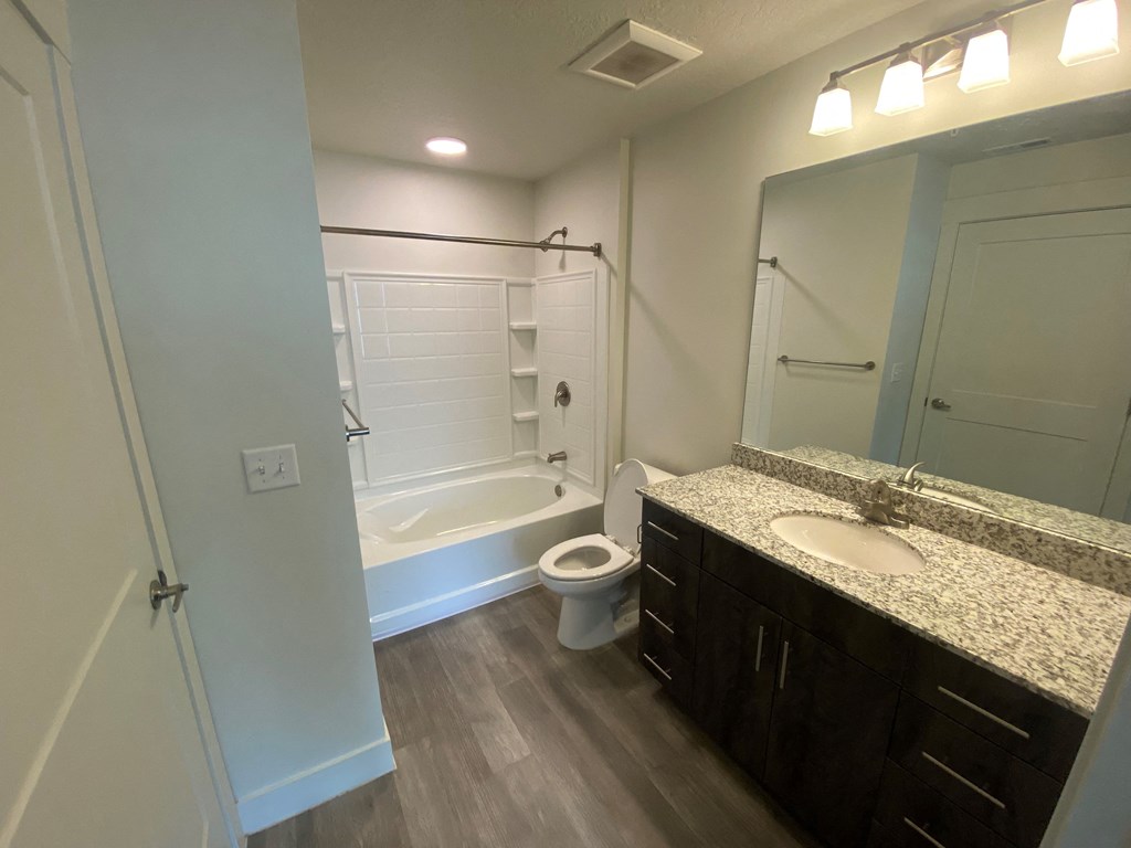 Bathroom Shower with Tub