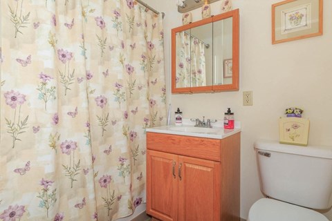 a bathroom with a toilet and a sink and a shower curtain