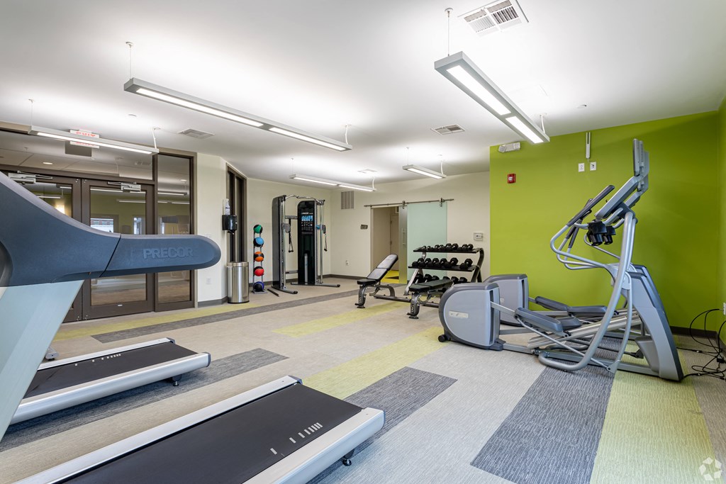 A gym with treadmills, weights, and exercise equipment.