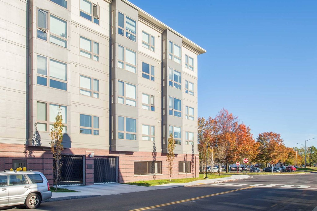 A grey building with a tree in front of it.