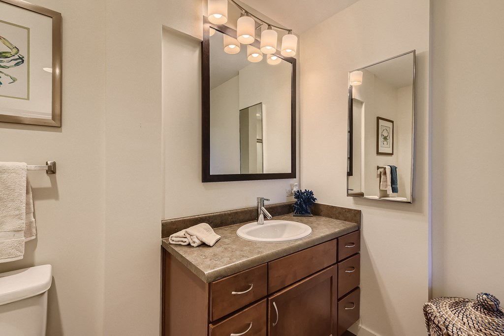 a bathroom with a sink and mirror and a toilet