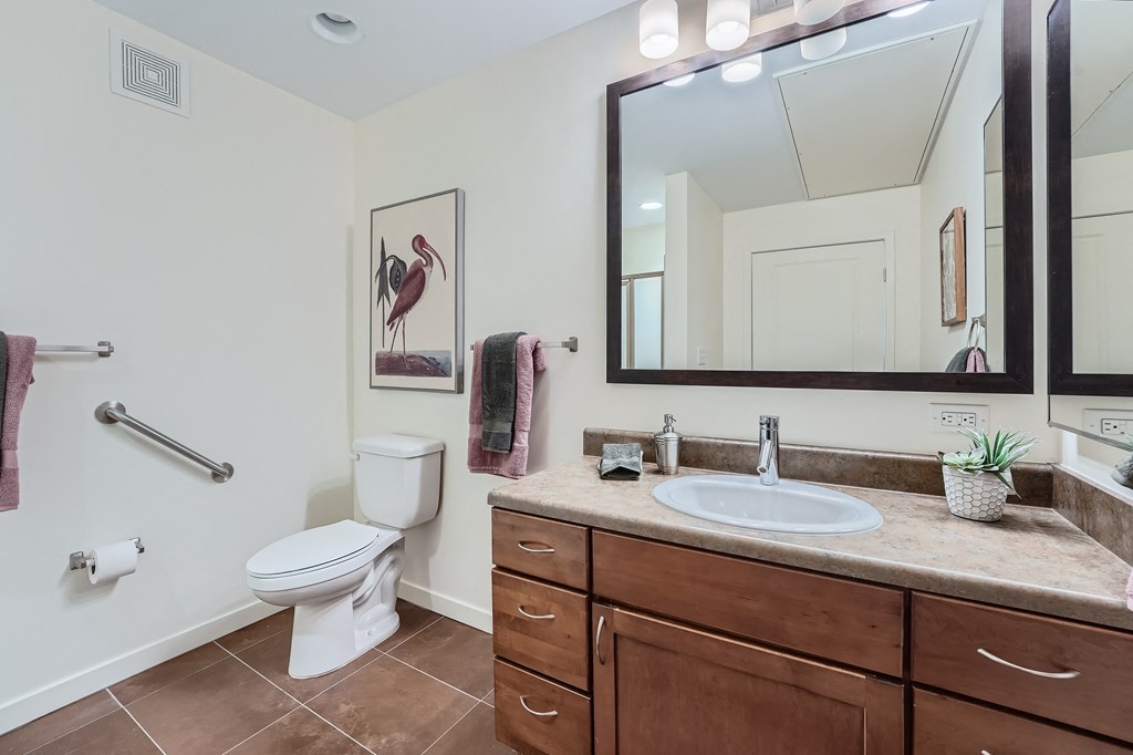 a bathroom with a sink and a toilet and a mirror