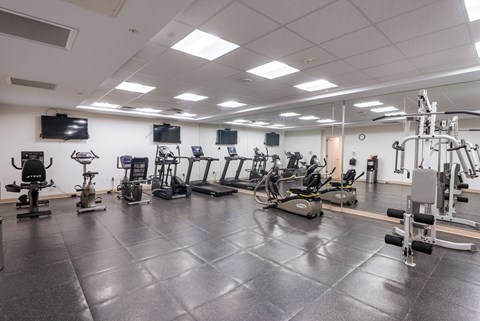 A spacious gym with a variety of equipment.