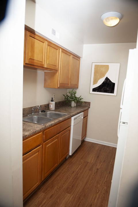 a small kitchen with a sink and wooden cabinets