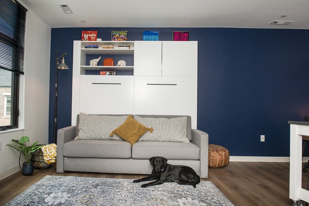 a dog laying on a couch in a living room