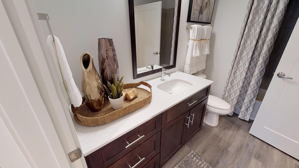 a bathroom with a sink and a mirror and a toilet