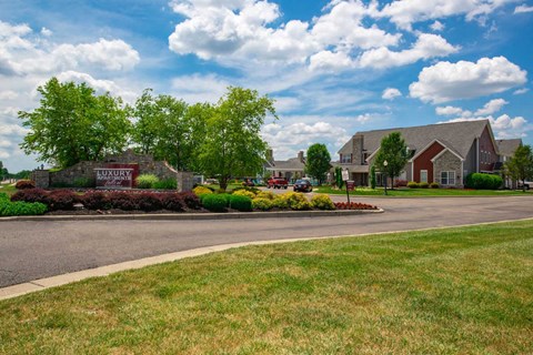 a street with houses and trees and a road
