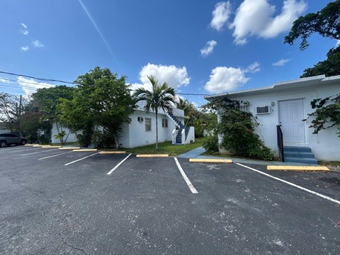 A white building with a palm tree in front of it.