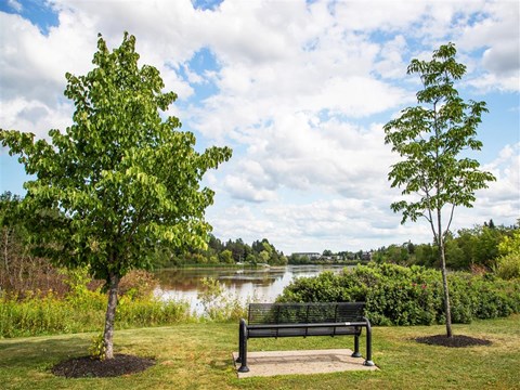 a park bench sitting next to a lake