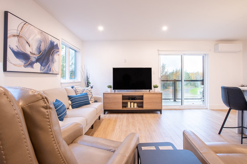 a living room with a couch and a television