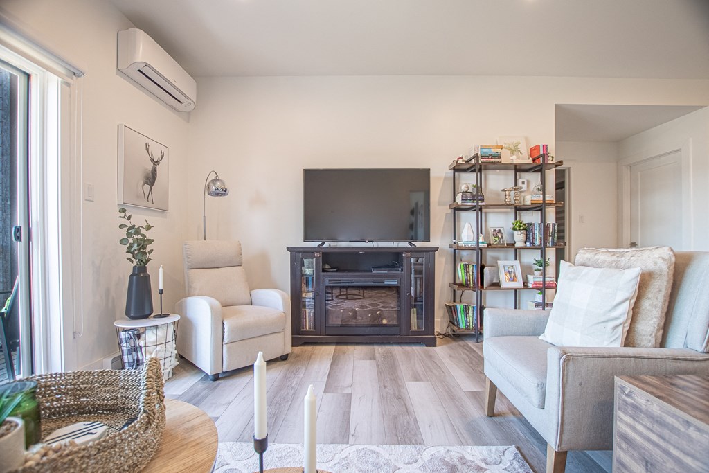 a living room with a tv and a fireplace