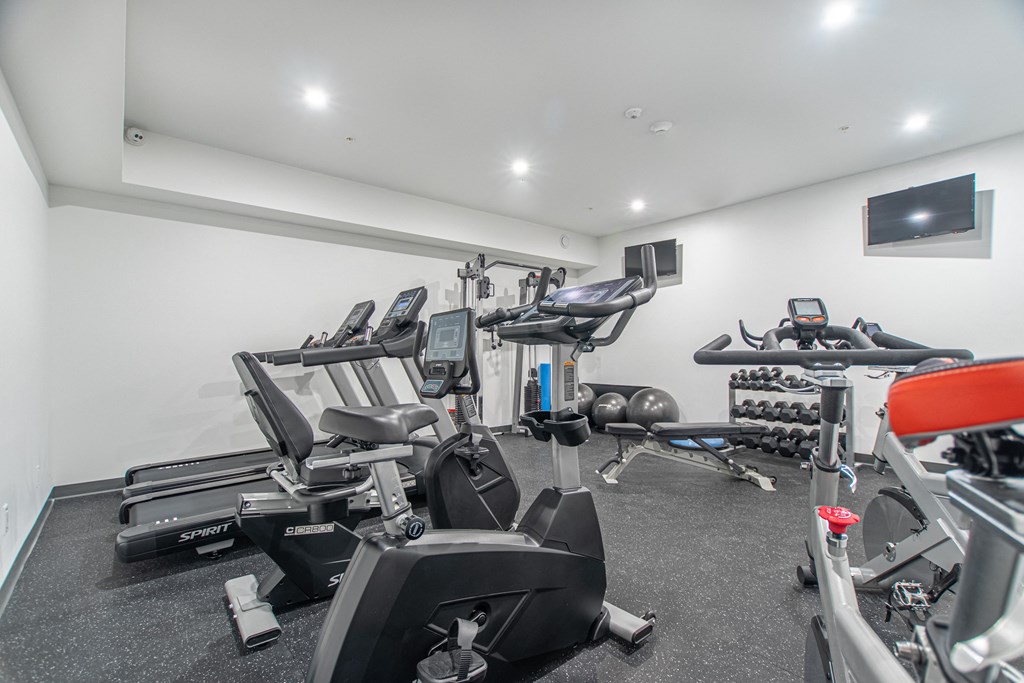 the gym is equipped with state of the art equipment