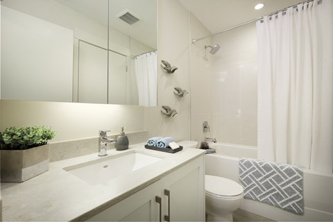 a bathroom with a sink and a toilet and a shower