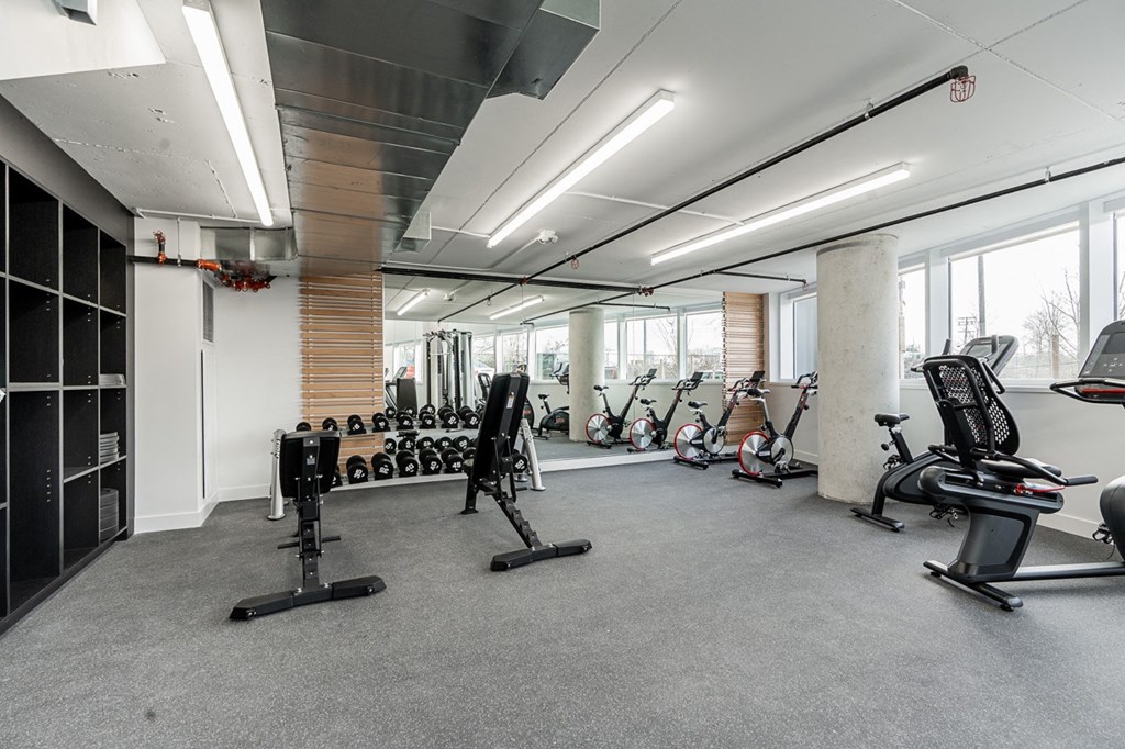 the gym at the benjamin franklin park apartments
