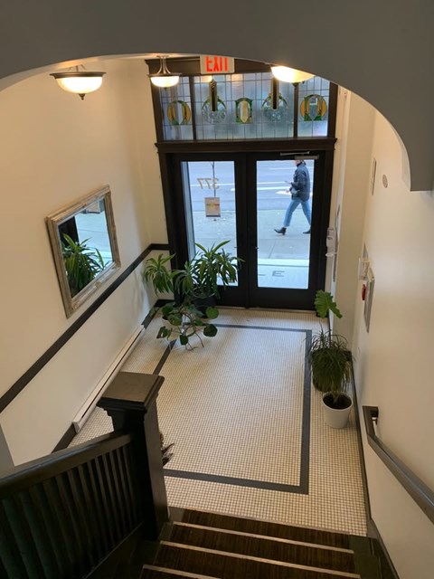 A hallway with a potted plant on the floor.