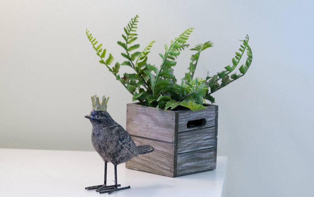 a small bird standing next to a potted plant