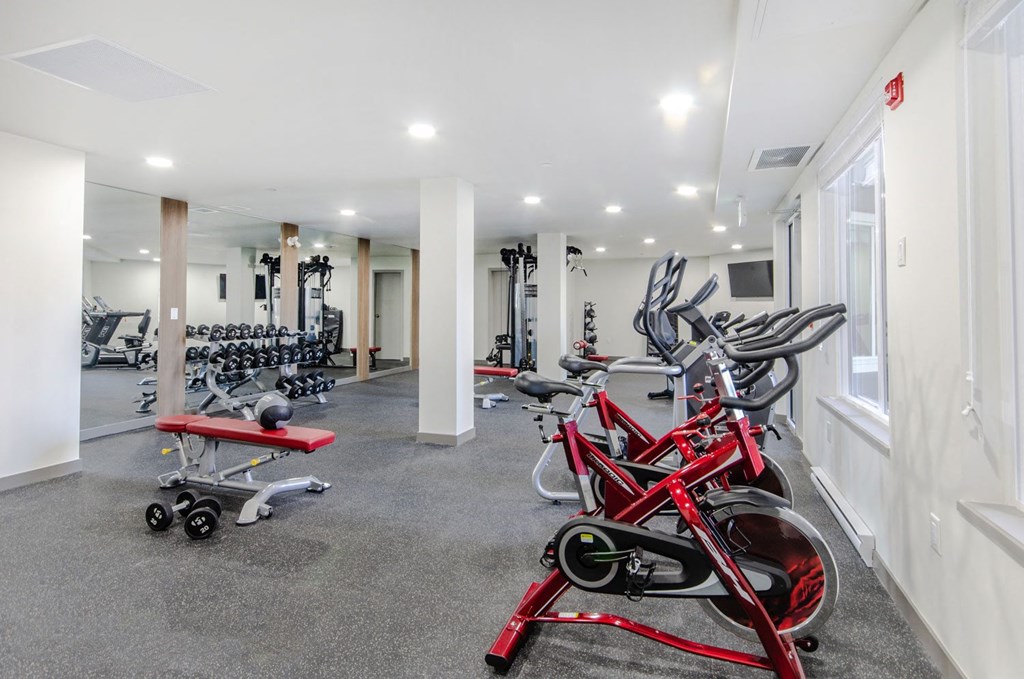 the gym at the benjamin pa