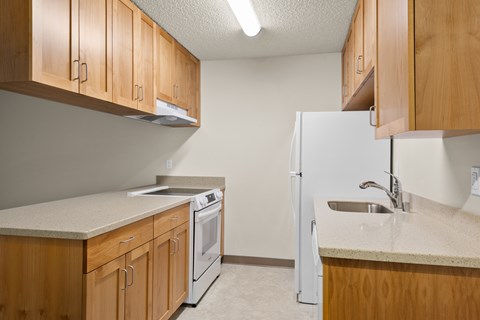 Kitchen in Downstairs Unit with Upgraded Amenities