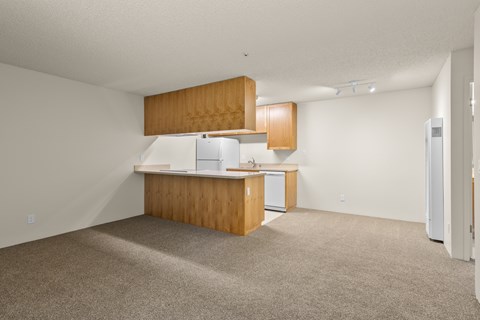 View from Entry of Downstairs Unit with Upgraded Amenities