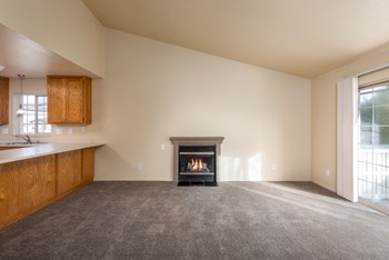 Gas Fireplace - Photo Gallery 25