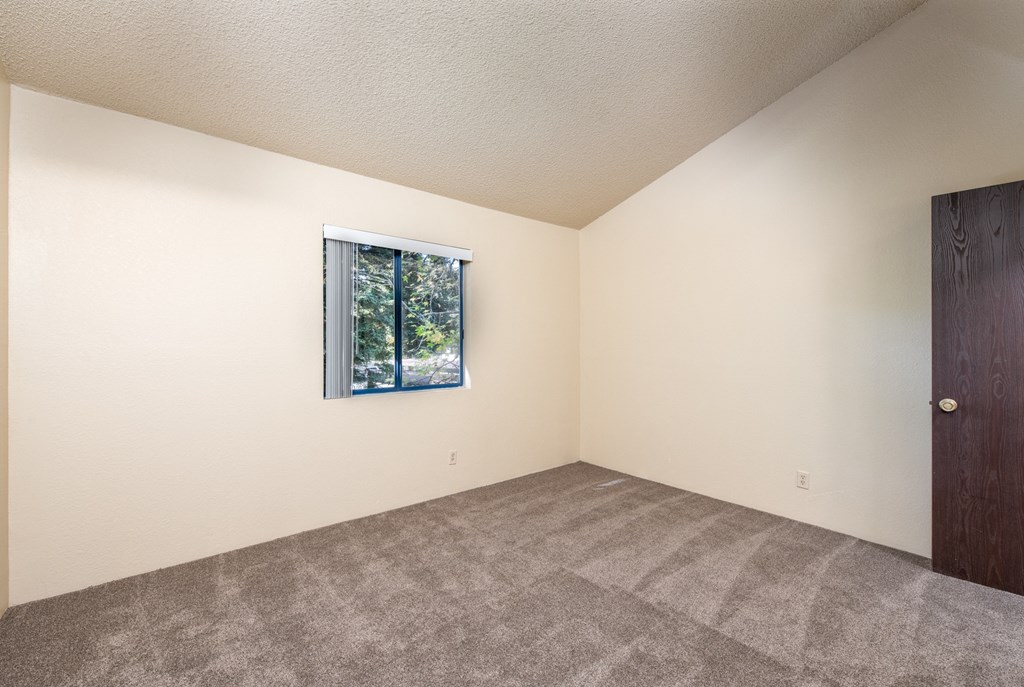 Plush Carpeting at Coddingtown Mall Apartments, Santa Rosa, California