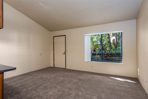 Wall-To-Wall Carpeting at Coddingtown Mall Apartments, California, 95401