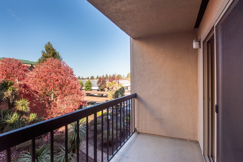 Spacious Balcony at Altamont Apartments, California, 94928