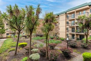 300 Enterprise Drive Studio-1 Bed Apartment for Rent - Photo Gallery 4