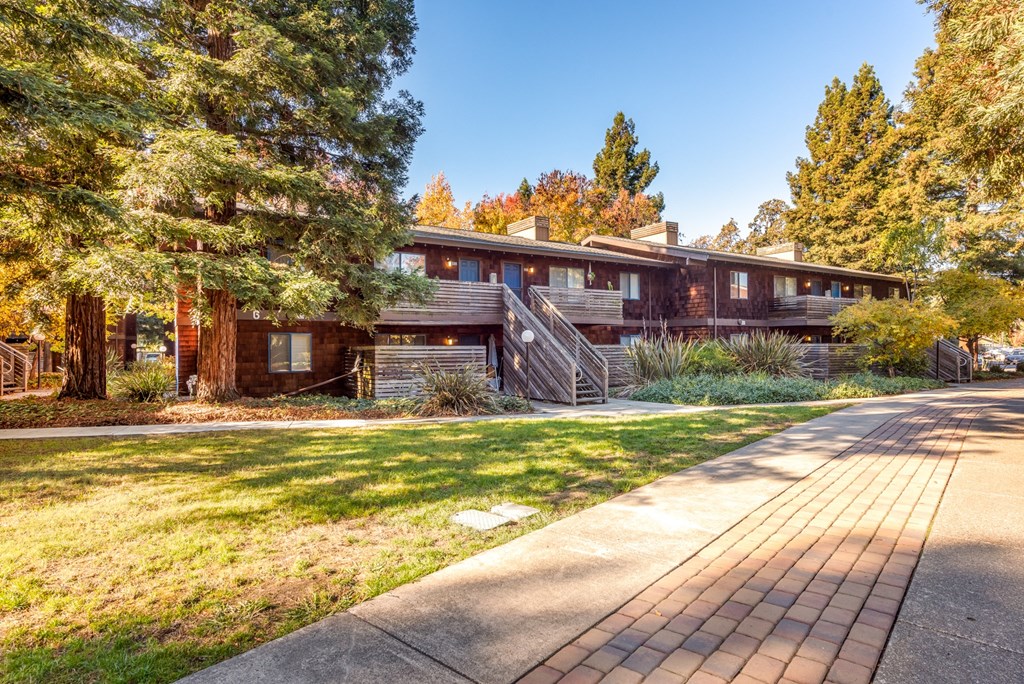 Exterior Landscape at Coddingtown Mall Apartments, Santa Rosa