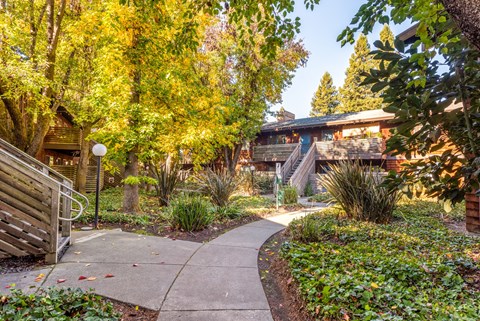 Courtyard Walking Path at Coddingtown Mall Apartments, Santa Rosa, CA, 95401