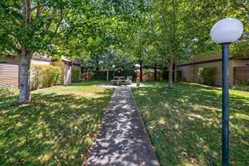 557 Laguna Drive 1 Bed Apartment, Affordable for Rent - Photo Gallery 5